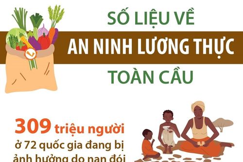 Số liệu về an ninh lương thực toàn cầu