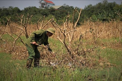 Kịp thời hỗ trợ tín dụng cho người dân sau bão lũ tại Yên Bái