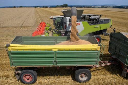 Bild: Ngũ cốc giá rẻ của Ukraine làm khó các hộ nông dân Đức