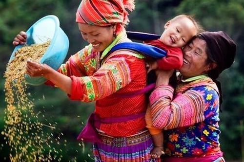 Các hộ gia đình dân tộc thiểu số do phụ nữ làm chủ có mức thu nhập cao hơn