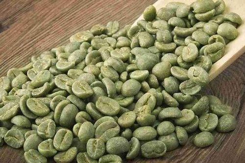 Algeria ấn định giá trần cà phê và biên độ lợi nhuận đối với nhà nhập khẩu
