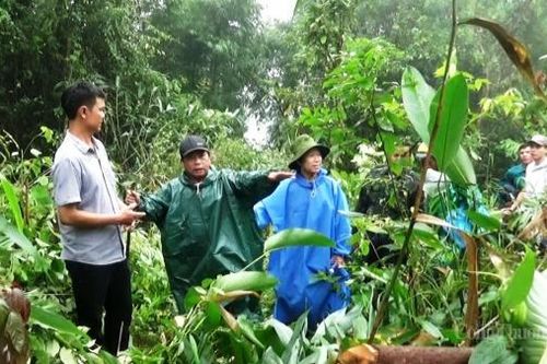 Khảo sát lập làng mới cho 26 hộ dân bị sạt lở ở Quảng Nam