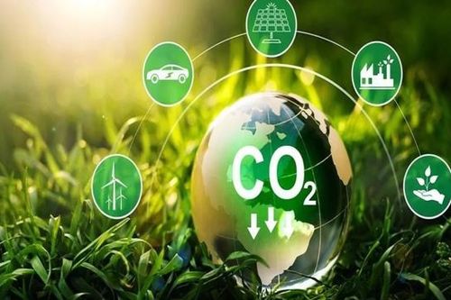 Các giải pháp cải thiện hệ thống thị trường carbon của Việt Nam