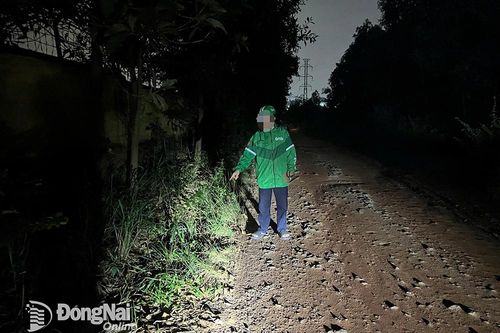 Những 'màn kịch' báo tin giả gây hoang mang dư luận