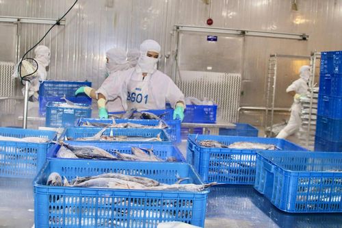 Đã đến lúc chuyển hướng sản xuất xanh