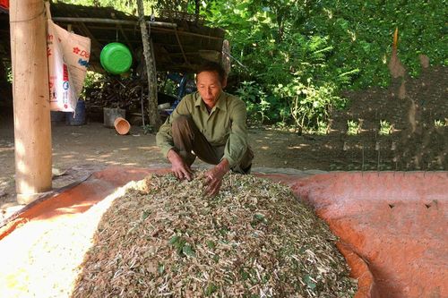 Cựu chiến binh giúp nhau phát triển kinh tế