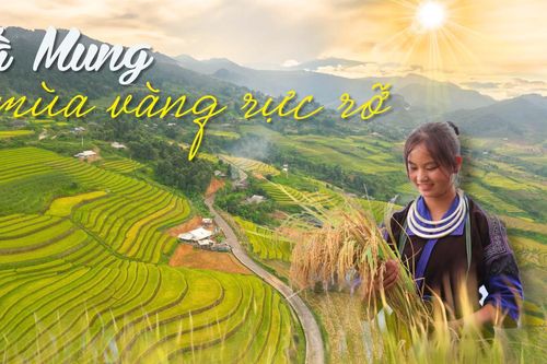 Tà Mung - mùa vàng rực rỡ