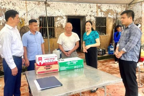 Chung tay với nông dân khắc phục thiệt hại sau bão