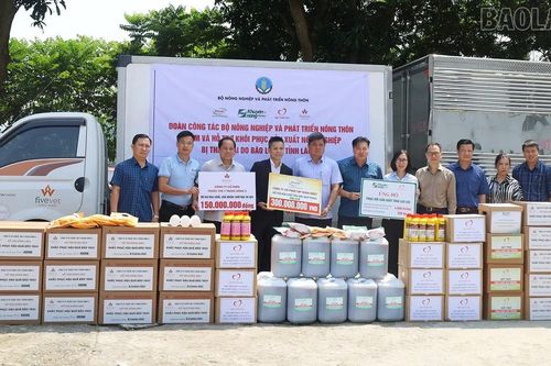 Trung tâm Khuyến nông quốc gia hỗ trợ ngành nông nghiệp Lào Cai 5.985 lít hóa chất để khắc phục sau bão lũ