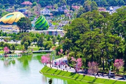Top 4 resort 'cực chill' ở khu vực Đà Lạt khiến du khách say đắm