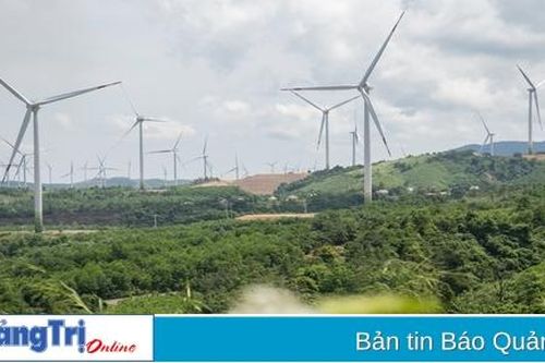 Cục Kiểm lâm đề nghị tỉnh Quảng Trị xác định mức độ sai phạm các dự án điện gió xây dựng sai vị trí cấp phép để xử lý nghiêm