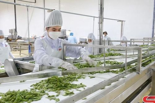 Đầu tư hạ tầng thúc đẩy công nghiệp chế biến nông sản