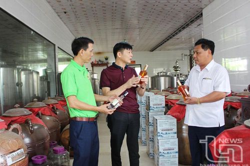 Tăng thu nhập bền vững cho người dân