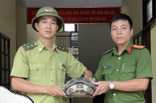 Tiếp nhận 3 cá thể động vật hoang dã quý hiếm
