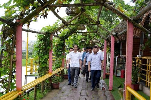 Thành phố Hà Tĩnh: Phát triển nông nghiệp giữa lòng đô thị
