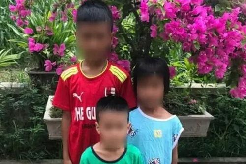 Ninh Bình: Tìm thấy ba cháu bé mất tích sau 3 ngày