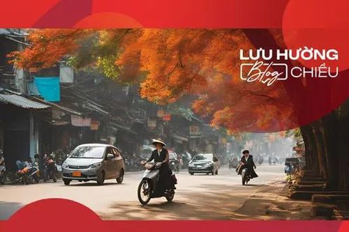 Thu miền đất Tổ