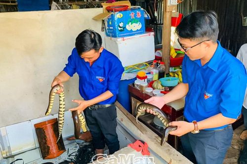 Ðồng hành cùng thanh niên lập nghiệp