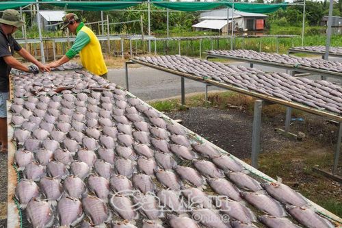 Kỳ vọng đặc sản cá bổi