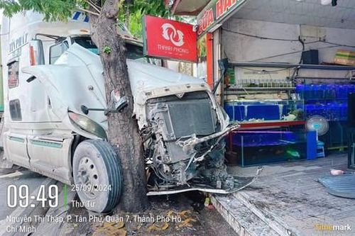 TPHCM: Xe container húc văng dải phân cách, lao lên vỉa hè, suýt tông cửa hàng cá cảnh
