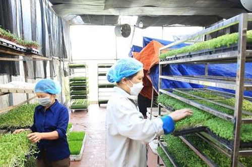 Thúc đẩy chuyển đổi số trong lĩnh vực trồng trọt