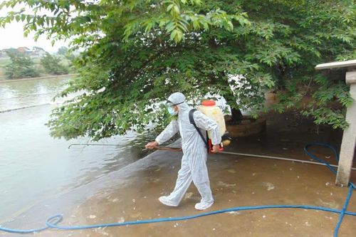 Lũ rút, Nghệ An thực hiện 'bốn tại chỗ, ba sẵn sàng' phòng chống dịch bệnh