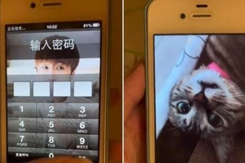 Cô gái đợi 10 năm để mở lại chiếc iPhone bị vô hiệu hóa, lý do rất xúc động