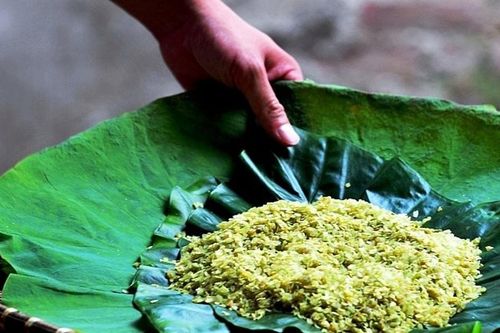 Tháng 9 và cốm xanh