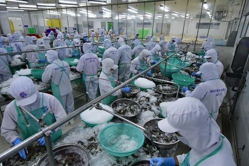 Cà Mau giữ đà tăng trưởng xuất khẩu 6%/năm