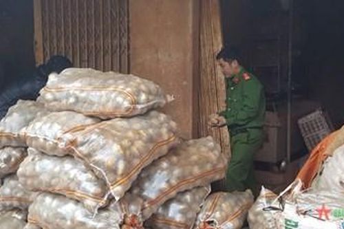 Tăng cường bảo vệ thương hiệu nông sản Đà Lạt