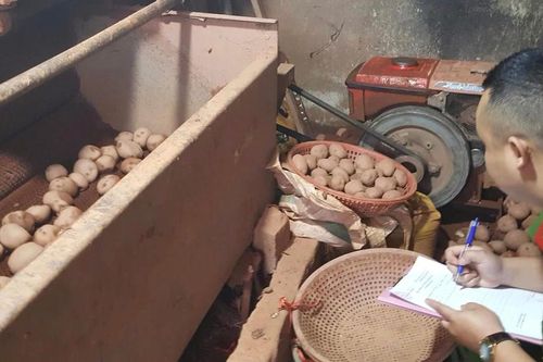 Tìm phương án bảo vệ thương hiệu nông sản Đà Lạt