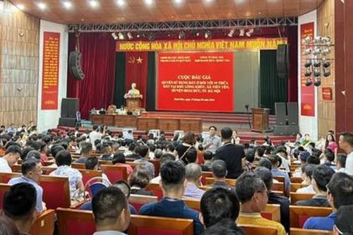 Sẽ dừng phiên đấu giá đất nếu phát hiện hành vi thông đồng, dìm giá