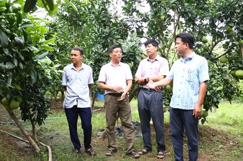 Khuyến nông Hà Nội: Bứt phá sau 9 tháng, tạo đà phát triển nông nghiệp bền vững