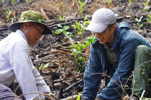 Hỗ trợ người dân trồng hơn 20,5 nghìn cây gỗ lớn, phủ xanh 15ha rừng Đà Nẵng