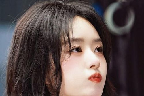 Một bức ảnh Triệu Lệ Dĩnh nuôi sống cả một ngôi làng