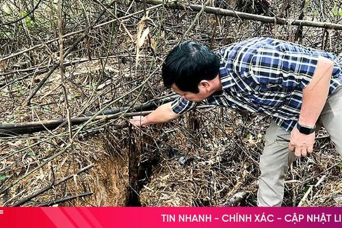 Rú Dầu nguy cơ sạt lở mạnh, nhiều hộ dân lo lắng!