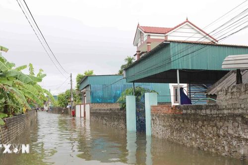 Bão số 4 và mưa lũ đã làm ngập úng, hư hại hơn 7.500 ha lúa, hoa màu, cây trồng