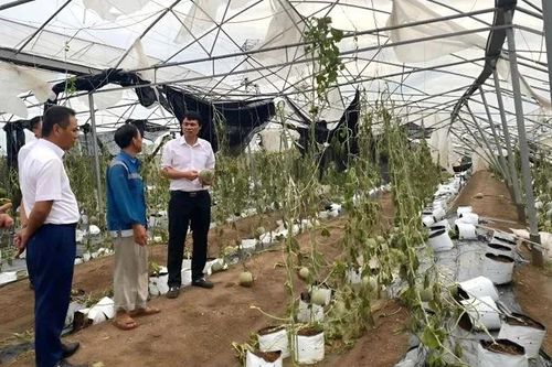 NHNN: Đẩy mạnh giải pháp khôi phục và thúc đẩy sản xuất kinh doanh sau bão