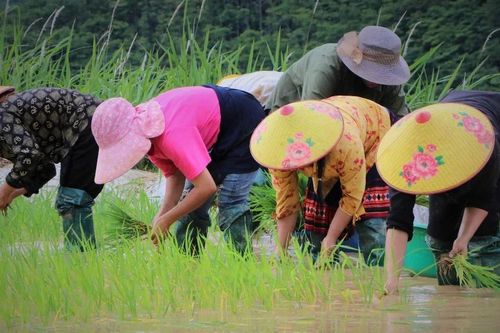 Việt Nam-Indonesia quyết tâm đưa kim ngạch thương mại song phương lên 18 tỷ USD