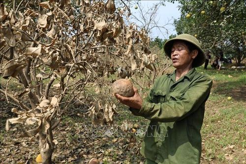 Khẩn trương ban hành Thông tư hướng dẫn cơ cấu nợ cho khách hàng bị ảnh hưởng bởi Yagi