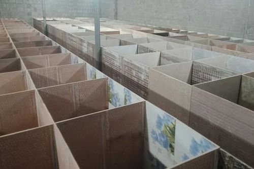 Nuôi con đặc sản 'hiền như đất', chị nông dân lãi hàng tỷ đồng/năm
