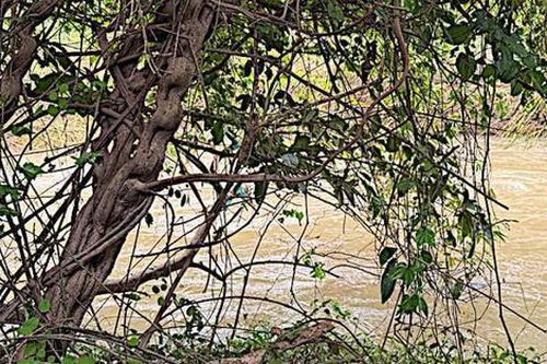 Sau 5 ngày mất tích, nam sinh lớp 12 được tìm thấy trong tình trạng đau lòng