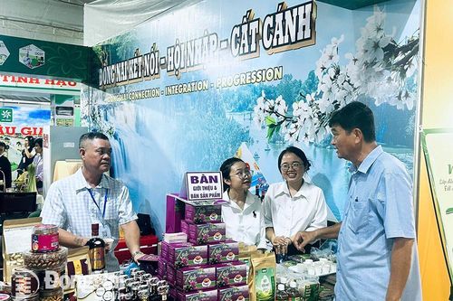 22 doanh nghiệp của Đồng Nai tham gia hội nghị kết nối cung cầu tại Thành phố Hồ Chí Minh