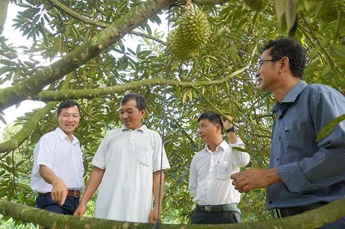 Kinh tế tập thể có nhiều chuyển biến tích cực