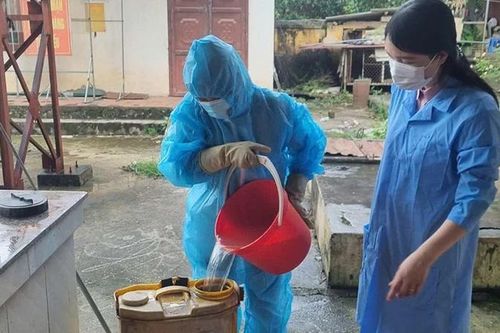 Nhanh chóng khôi phục sản xuất chăn nuôi