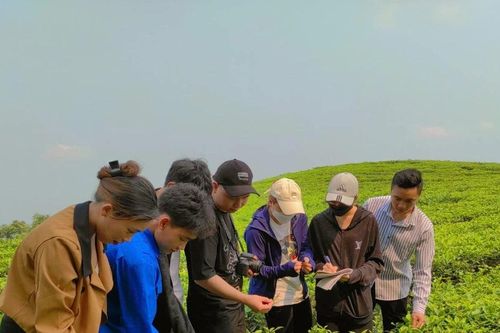 Giúp người học thuận lợi tiếp cận việc làm