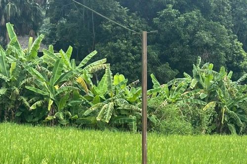 Văn Bàn: Hai người bị điện giật tử vong
