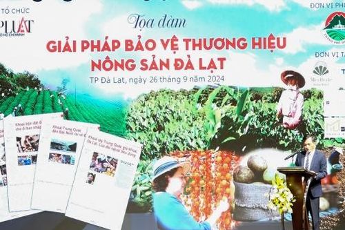Tìm giải pháp bảo vệ thương hiệu nông sản Đà Lạt