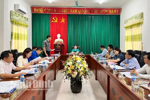 Đoàn kiểm tra của Ban Thường vụ Tỉnh ủy làm việc với Đảng ủy cơ quan Tỉnh đoàn