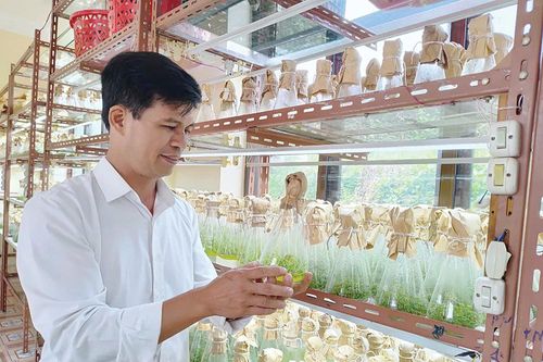Ứng dụng khoa học kỹ thuật trong sản xuất cây giống